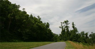 Rose&#39;s Top 50 Films