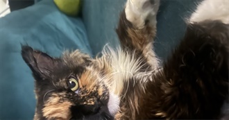 Marxandangels Albums