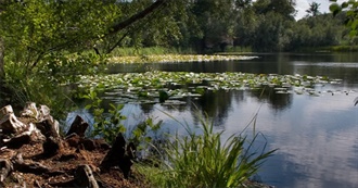 Necessities for Me to Live Successfully in This World