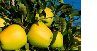 Big T&#39;s Popular Dishes of Aquitaine Part 9