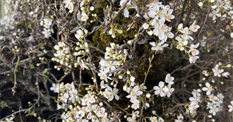 Past and Present Favs