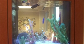 Buradi&#39;s Animals A-Z 1