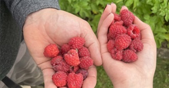 A List of Random Things Faye Loves