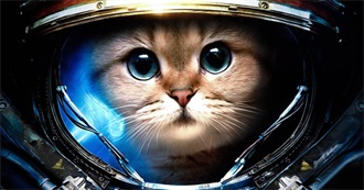 Books I&#39;ve Read That You May Not Have Heard of **8