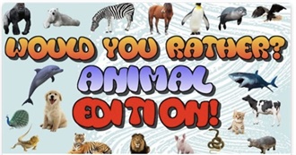 This or That  Animals