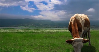 From Tilly G: Another 100 Films No One Has Seen, Jan. 2026