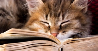 M&#39;s 2019 Booklist Part 4