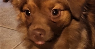 Losercat&#39;s Favorite Movies