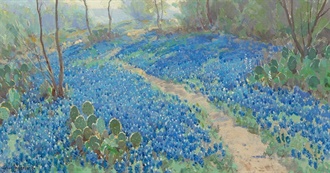 What&#39;s the Name of That Blue Book?