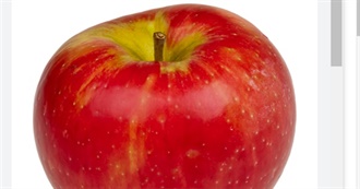 Big T&#39;s Food Eaten Today 539