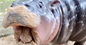 Books Alistair Loves