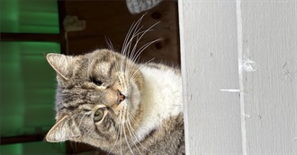 Patrick&#39;s Top Movies