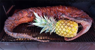 Reptiles, Amphibians, and Dishes