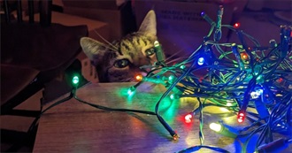 Erin's 2025 Reads (Ish)