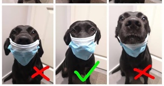 Gill&#39;s Surreal Movies