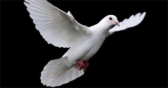 Fictional Pigeons/Dodos/Doves