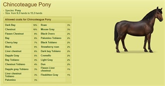 Chincoteague Pony - Howrse Coats Trophy