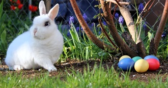 100 Films From 25 Acclaimed Filmmakers, for Rob Reiner