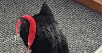 Ace&#39;s Favourite Movies