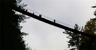 Bridges Domi Has Seen