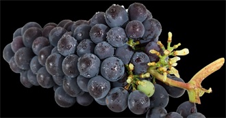 40 Foods With Grapes