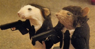 Rodents in Pop Culture and Media