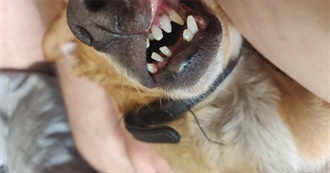 100 Films Max Has Seen