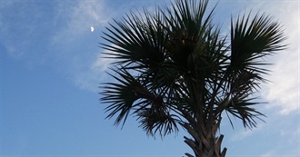 Things to Do in and Around Georgia