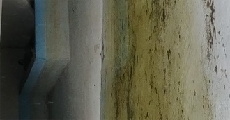 Maya&#39;s Watched Telly Vision