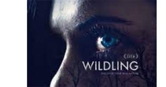 Strange Movies I&#39;ve Seen