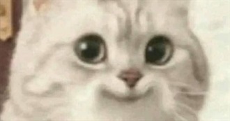 Nightfuryqueens Top 100 Movies