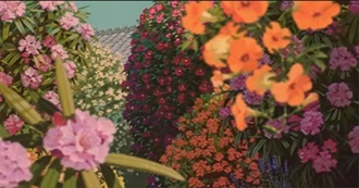 Thenameisgreed&#39;s Top 100 Films