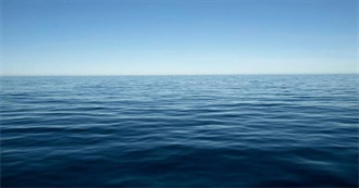 Chartreuse&#39;s Favorite Things 2