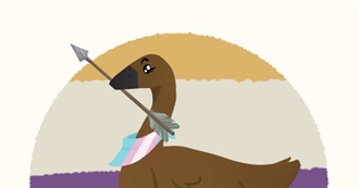 Remi&#39;s Video Game List