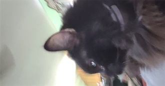 Beth&#39;s Top 100 Movies