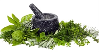 What Ray Ate - Day 257