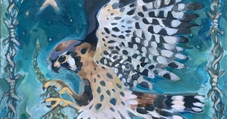 Maddie&#39;s Favorite Movies of All Time Forever and Ever Amen