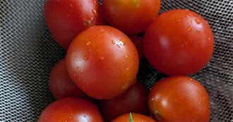 Big T&#39;s Food Eaten Today 1083