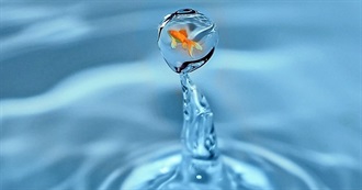 Books I've Read That You May Not Have Heard of **19