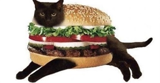 Ryan Manwhorrors Fave Films