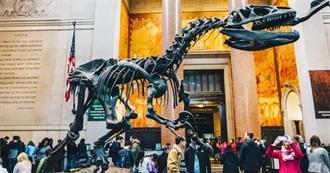 Tripadvisor Top 100 Museums in the United States