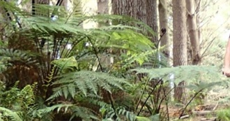 Bike Trails of New Zealand