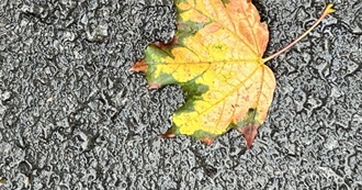 30 Things off the Bucket List Before 30