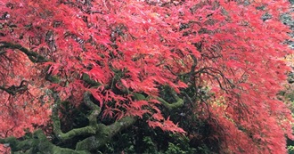 Books Read July to September 2025