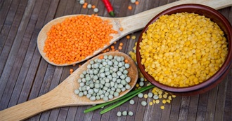 Vegan Food Pyramid Group 4 - Protein Sources