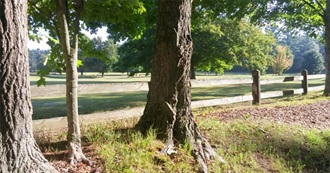 Toki&#39;s Formative 25