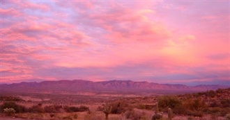 Bird&#39;s 100 Movies