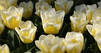 The World in 2023&gt;&gt;Deaths