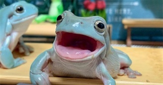 The-Headless-Horsedude&#39;s Movies