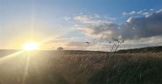 Books Mrs B Read in 2024